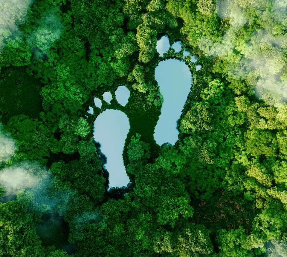 Carbon Footprint