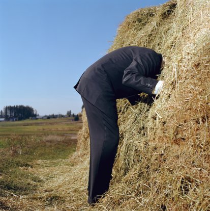 Find the Needle in the Haystack