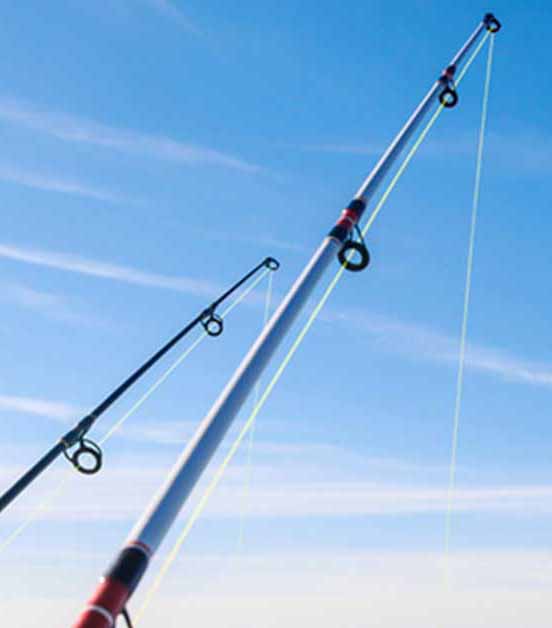 fishing rod small