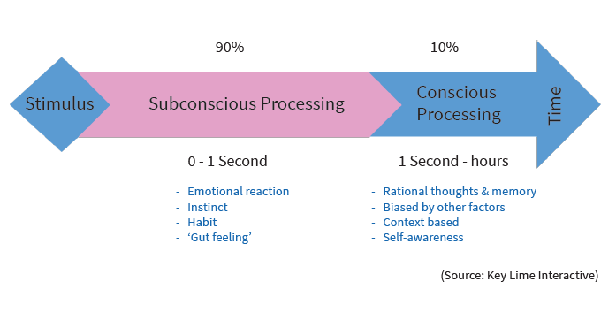 stimulus processing arrow diagram